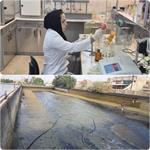 ۹۷۱۶ مورد کلرسنجی و کدورت سنجی از شبکه های آبرسانی در سطح شهر و روستاهای بهبهان/ وضعیت آب آشامیدنی بهبهان مطلوب است