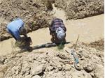 پایداری شبکه آب در بخشی از شادگان/بهره مندی ۲۰ خانوار روستایی