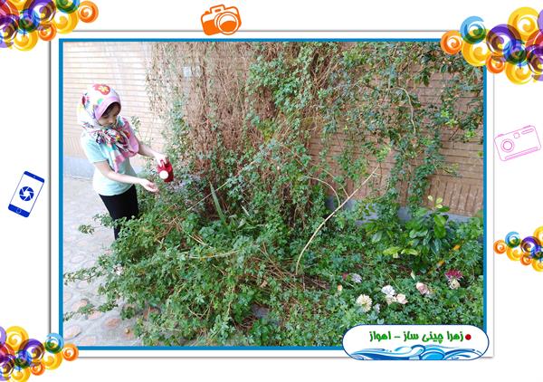 آب را دوست دارم 7